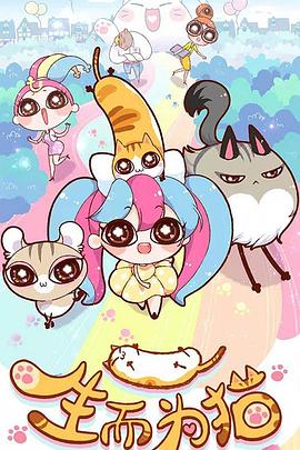 哪个网站有优化书